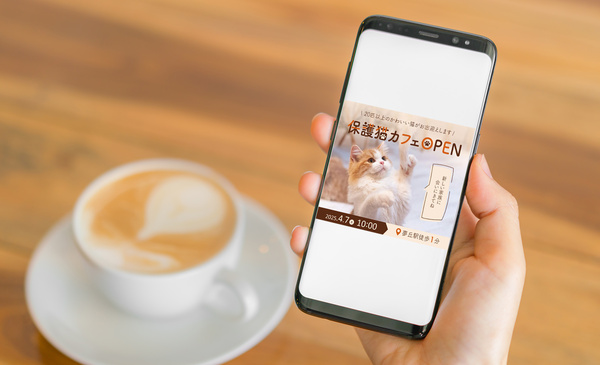 架空保護猫カフェのバナー