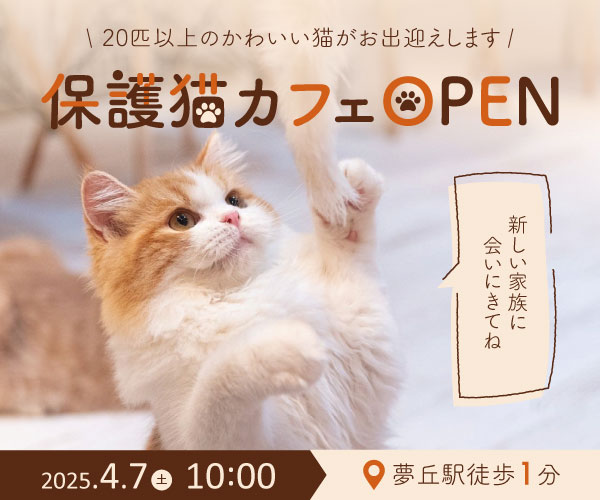 架空保護猫カフェのバナー